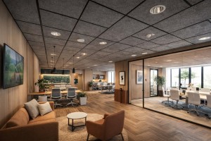 Фибролитовые акустические потолки и панели