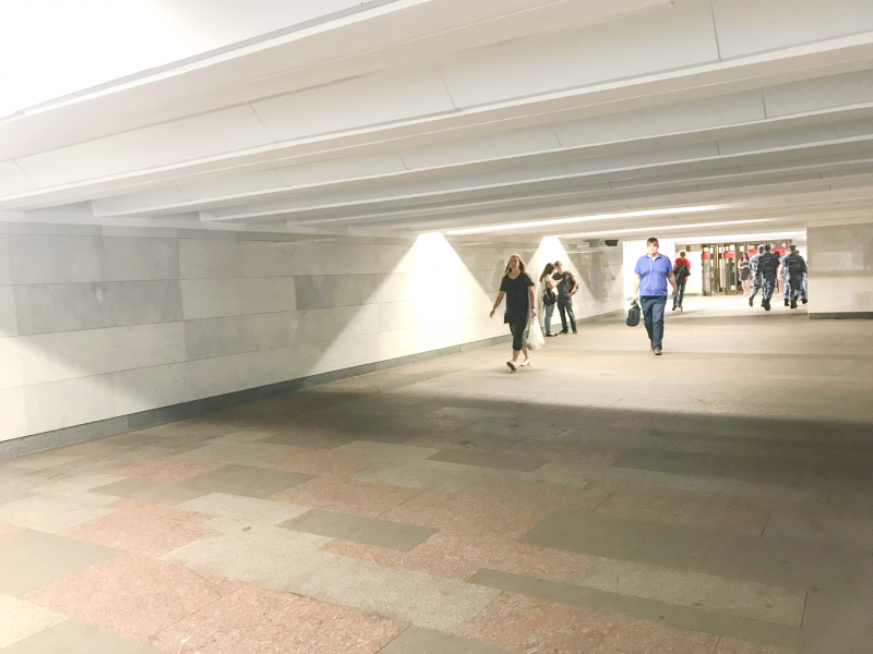 Потолки метро Пушкинская